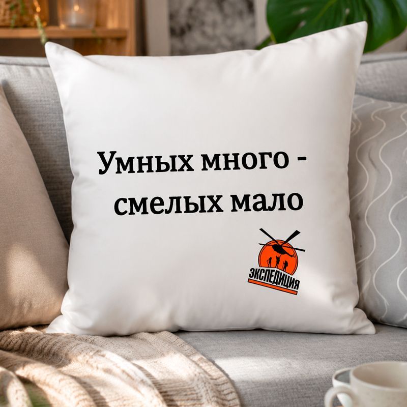 Подушка декоративная " Умных много - смелых мало "