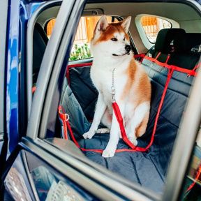 Ремень безопасности для собак в автомобиль 