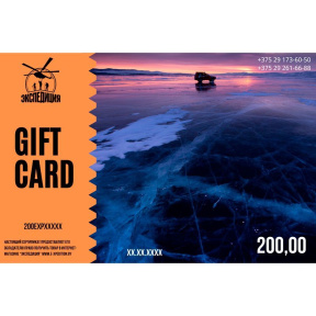 Электронная подарочная карта номиналом 200,00 белорусских рублей